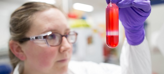 Accelerating your Move from Benchtop to Clinic